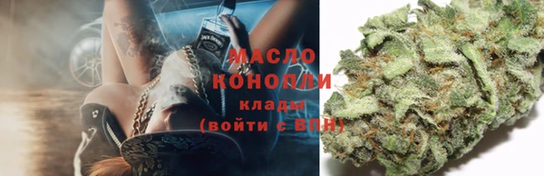 сатива Козельск