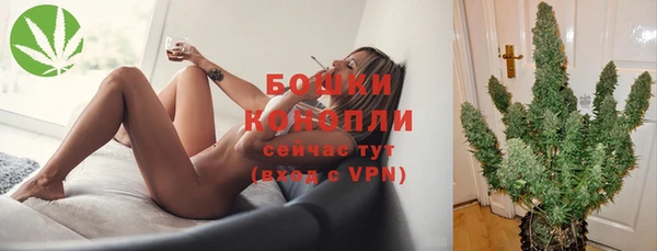 сатива Козельск