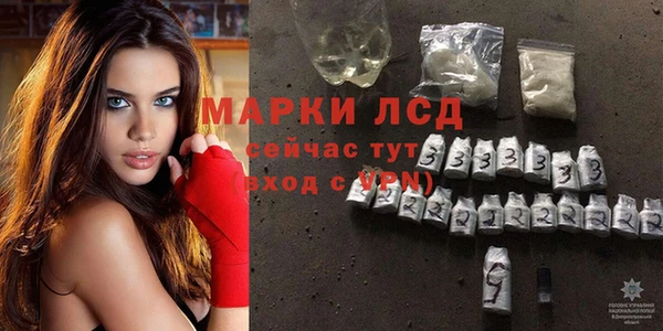 сатива Козельск