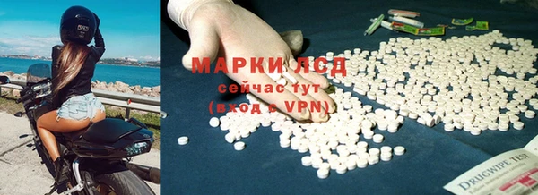 spice Щигры