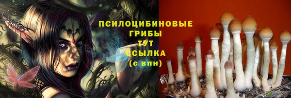 прущая мука Кодинск