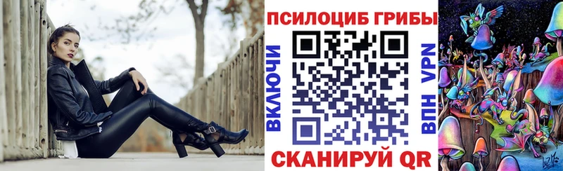 Купить закладки  Сегежа  Псилоцибиновые грибы мицелий 